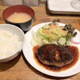 近江牛使用の黄金比率ハンバーグ