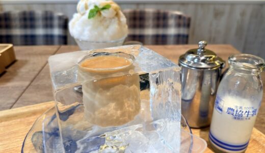 氷コーヒーとミルク味のかき氷