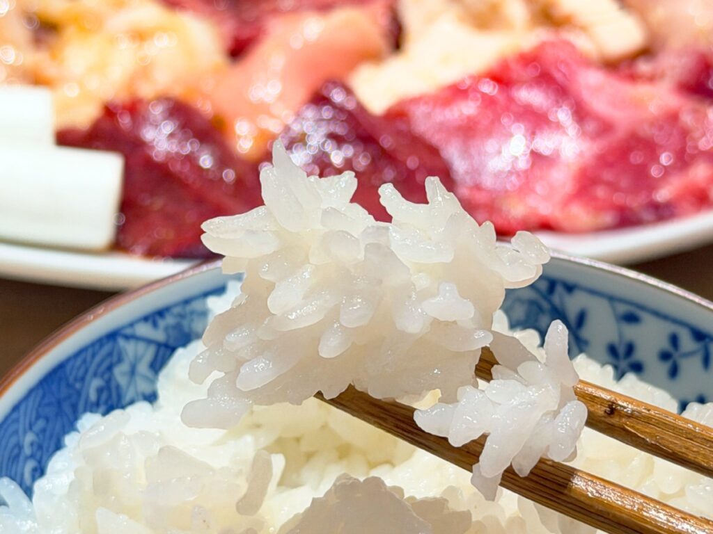 お箸で持ち上げた白ご飯